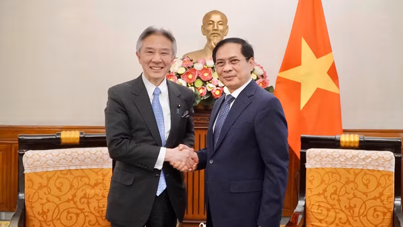 Министр иностранных дел Буй Тхань Шон принимает Министра образования, культуры, спорта, науки и технологий Японии Морияму Масахито. Фото: dangcongsan.vn