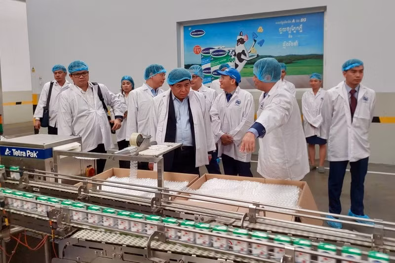 Министр Нгуен Тьи Зунг посещает завод по переработке молочных продуктов в Камбодже.