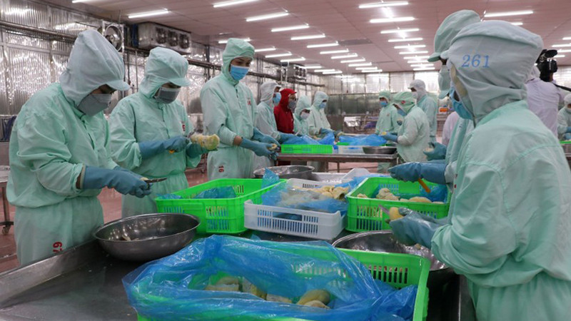 Переработка сельскохозяйственной продукции на экспорт. Фото: ВИА
