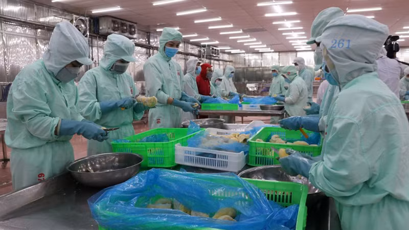 Переработка сельскохозяйственной продукции на экспорт. Фото: ВИА