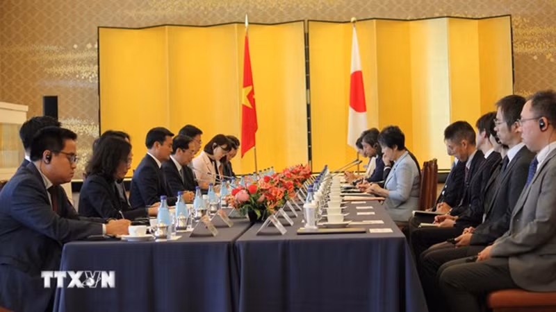 Общий вид 12-го заседания Комитета по сотрудничеству между Вьетнамом и Японией. Фото: ВИА