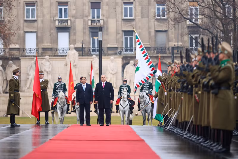 Отношения традиционной дружбы и многостороннего сотрудничества между Вьетнамом и Венгрией с более чем 70-летней историей активно развиваются во всех областях, от сотрудничества в целях развития, обороны и безопасности, образования и подготовки кадров до сельского хозяйства, культуры... Фото: VGP
