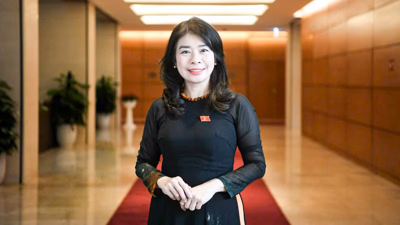 Заместитель председателя Комитета НС по внешним связям Ле Тху Ха.