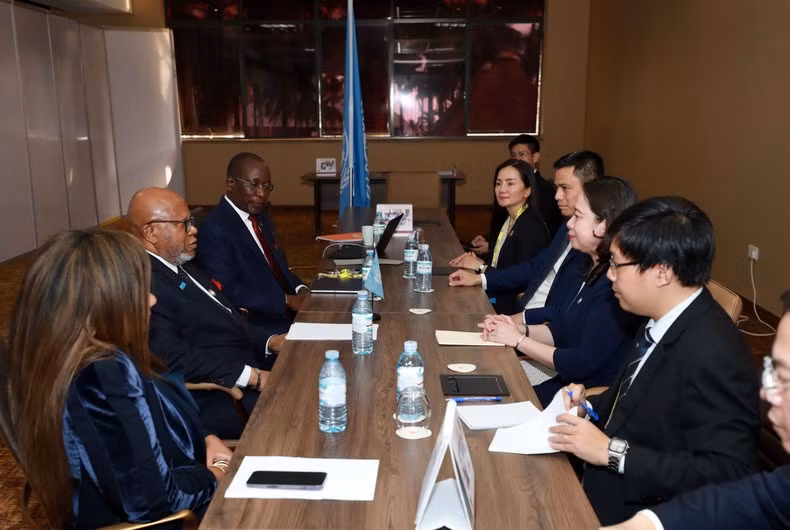 Вице-президент Во Тхи Ань Суан на встрече с Председателем Генеральной Ассамблеи ООН Деннисом Фрэнсисом. Фото: ВИА