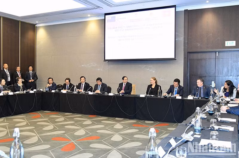 Общий вид беседы. Фото: Тхань Жанг