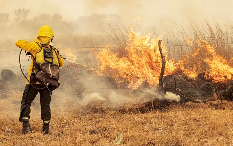 Лесные пожары из-за засушливой погоды в Аргентине. Фото: Рейтер