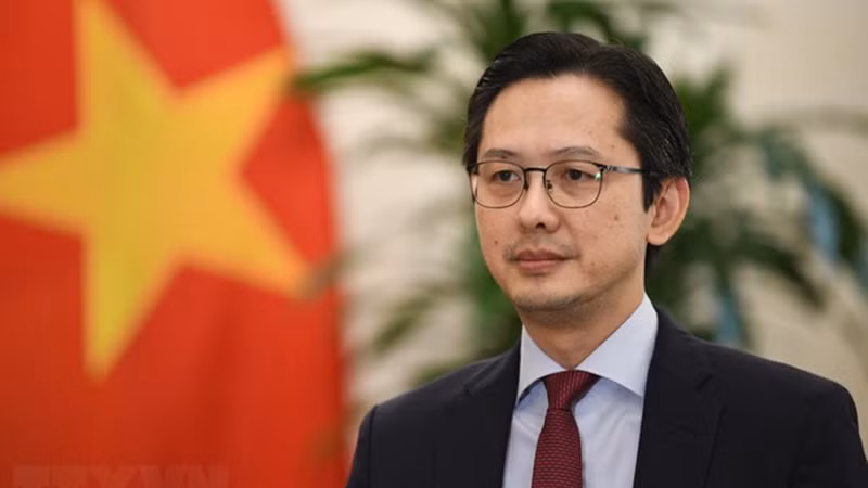 Заместитель министра иностранных дел Вьетнама До Хунг Вьет. Фото: ВИА