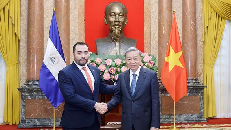 Президент То Лам принимает Посла Никарагуа Марио Хосе Арменгола Кампоса. Фото: ВИА