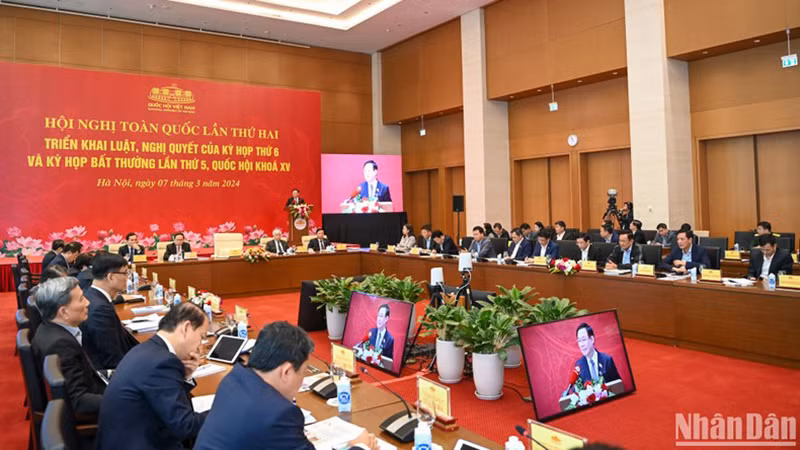 Общий вид конференции.