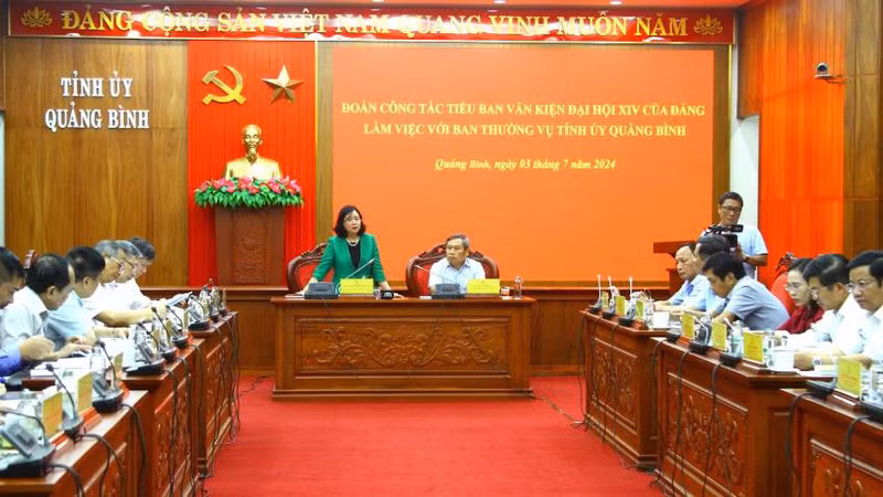 Товарищ Буй Тхи Минь Хоай выступает на рабочей встрече.