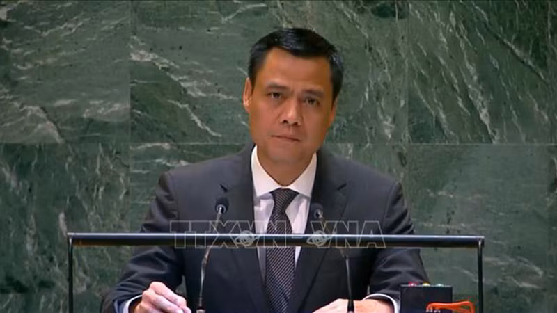 Посол Данг Хоанг Жанг выступает на сессии. Фото: ВИА