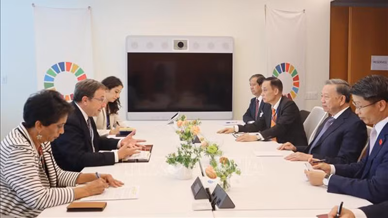 Генеральный секретарь ЦК КПВ, Президент Вьетнама То Лам на встрече с Администратором ПРООН Ахимом Штайнером. Фото: ВИА