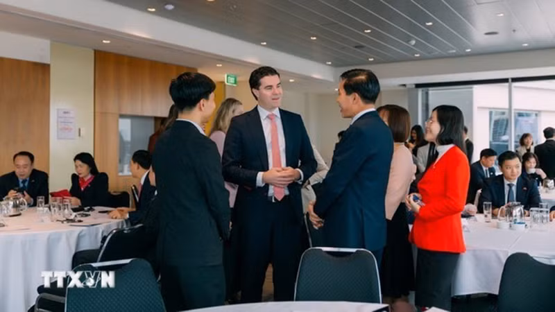 Заместитель директора Государственной политической академии имени Хо Ши Мина Хоанг Фук Лам на встрече с Соминистром иностранных дел и торговли Австралии Тимом Уоттсом. Фото: ВИА