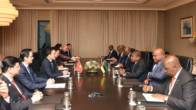 Вице-премьер Чан Лыу Куанг на встрече с Президентом Мозамбика Филипе Ньюси.