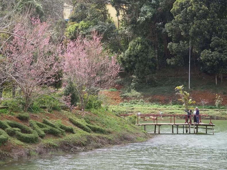 Туристы смотрят на цветы на озере Дакке.