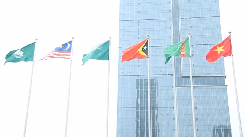 Национальные флаги Вьетнама и некоторых стран на церемонии. Фото: Кюи Лыонг