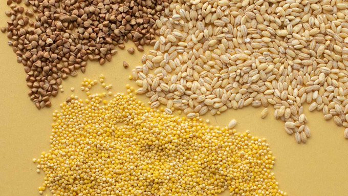 Agri VMA сосредоточится на производстве и торговле кормами для животных, разведении свиней и многих других видов домашнего скота и птицы. Источник: Cuba Business Report