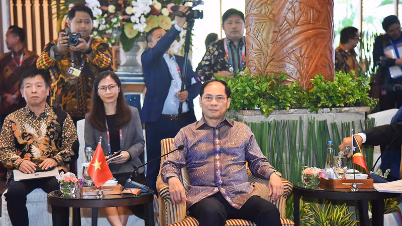 Министр иностранных дел Буй Тхань Шон (в центре) на встрече. Фото: МИД Вьетнама