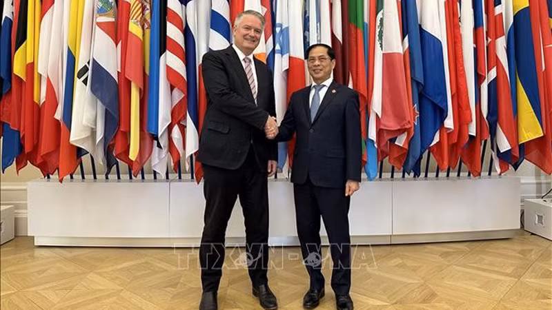 Министр иностранных дел Буй Тхань Шон и Генеральный секретарь ОЭСР Матиас Корманн. Фото: ВИА