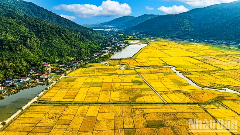 Желтый цвет становится основным цветом на дорогах земли Нге.