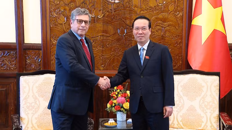 Президент Во Ван Тхыонг принимает Посла Бразилии. Фото: Хонг Куан