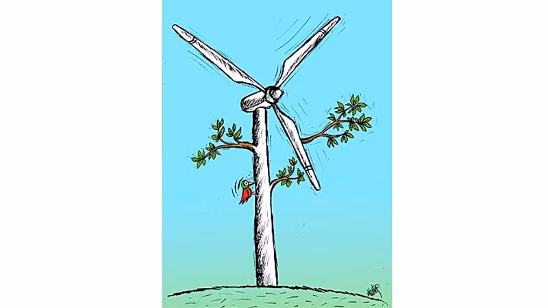 Карикатура Албайрака