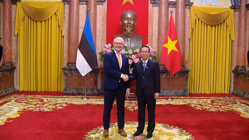 Президент Во Ван Тхыонг принимает Посла Эстонии. Фото: Хонг Куан