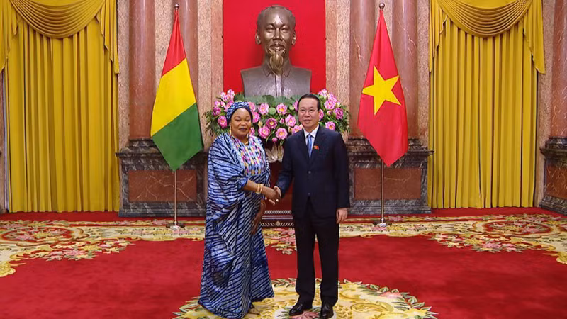 Президент Во Ван Тхыонг принимает Посла Гвинеи. Фото: Хонг Куан