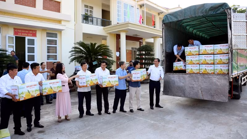 На этот раз в Великобританию экспортировано около 8000 грейпфрутов Шойха.