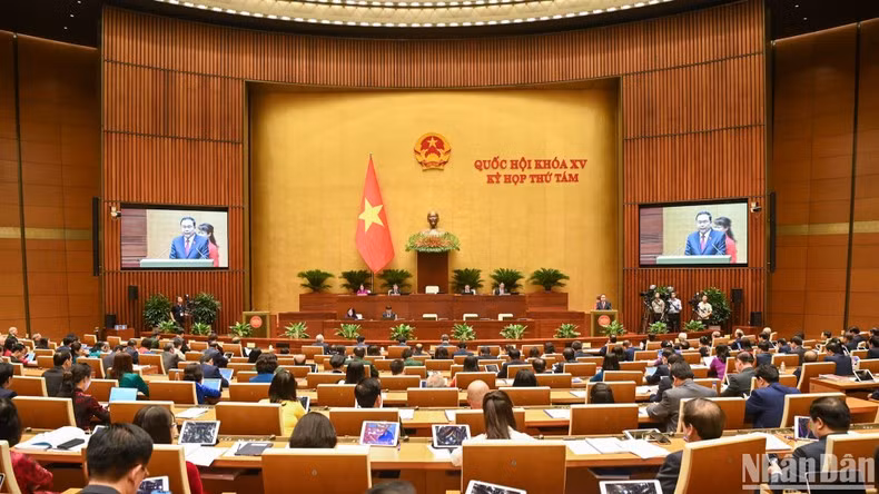 Общий вид сессии. Фото: Зюи Линь