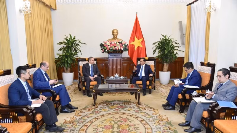 Вице-премьер, Министр Буй Тхань Шон принимает Посла Азербайджана Шовги Мехдизаде. Фото: VGP