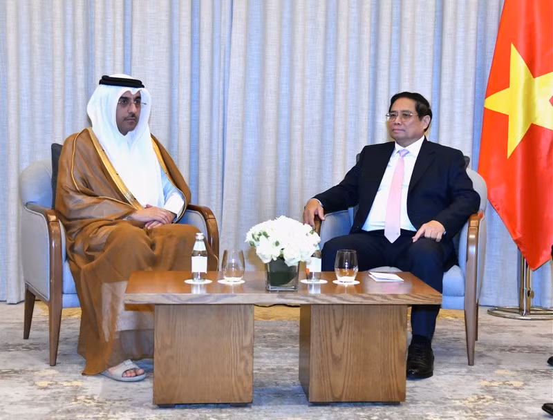 Премьер-министр Фам Минь Тьинь принимает Министра труда Катара Али бен Саида бин Самиха Аль Марри. Фото: Тхань Жанг