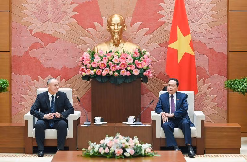 Постоянный зампредседателя НС Чан Тхань Ман и Председатель Парламентской группы румынско-вьетнамской дружбы Ойген Неата.