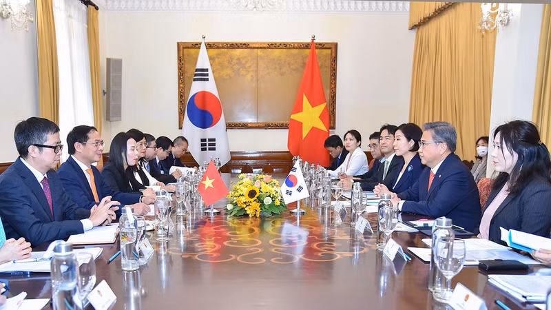 Общий вид переговоров между главами МИД двух стран. Фото: МИД Вьетнама