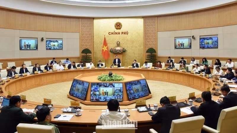 Участники конференции. Фото: Чан Хай