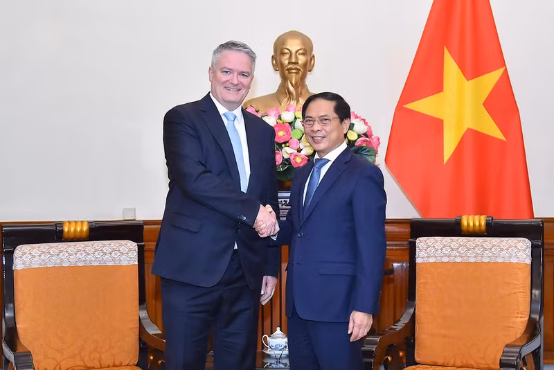 Министр иностранных дел Буй Тхань Шон (справа) и Генеральный секретарь ОЭСР Матиас Корманн. Фото: МИД Вьетнама