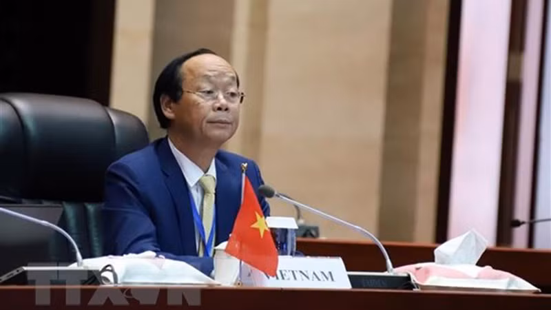 Замминистра природных ресурсов и охраны окружающей среды Во Туан Нян. Фото: ВИА