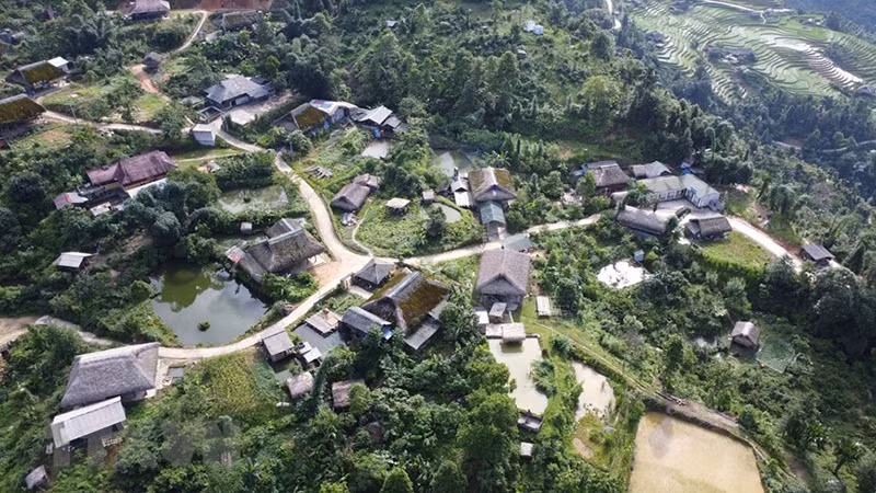 Покрытые мхом дома с пальмовыми крышами являются изюминкой селения Сафин. Покрытые мхом дома с пальмовыми крышами являются изюминкой селения Сафин.