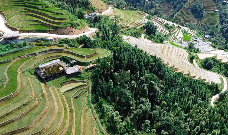 Из селения Сафин посетители могут насладиться видом домов с пальмовыми крышами среди террасных рисовых полей и извилистых дорог. Из селения Сафин посетители могут насладиться видом домов с пальмовыми крышами среди террасных рисовых полей и извилистых дорог.