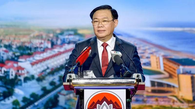 Председатель НС Выонг Динь Хюэ выступает на конференции. Фото: Зюи Линь