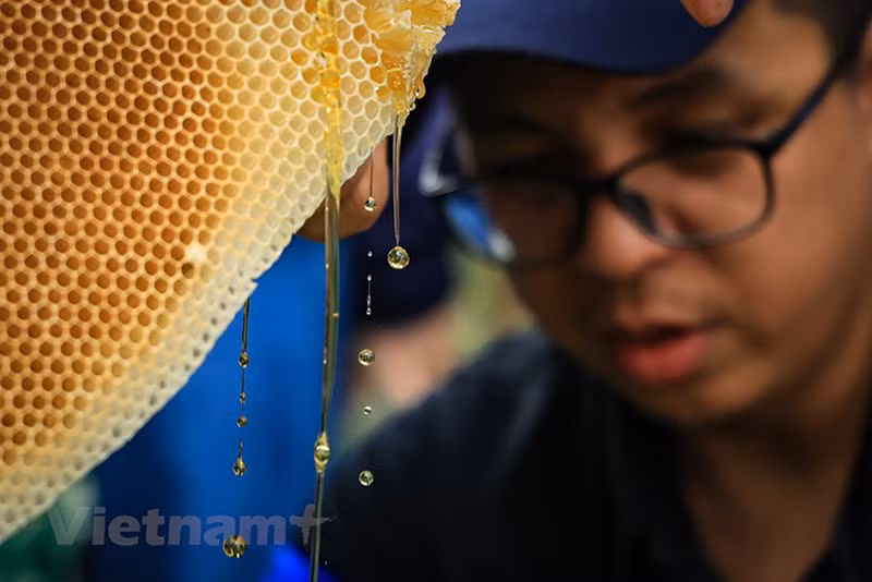 Характерный аромат натурального сладкого меда всегда обладает непреодолимой притягательной силой.