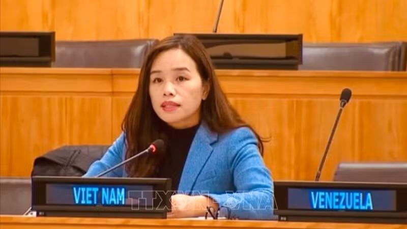 Советник-посланник, Заместитель главы постоянной миссии Вьетнама при ООН Ле Тхи Минь Тхоа. Фото: ВИА