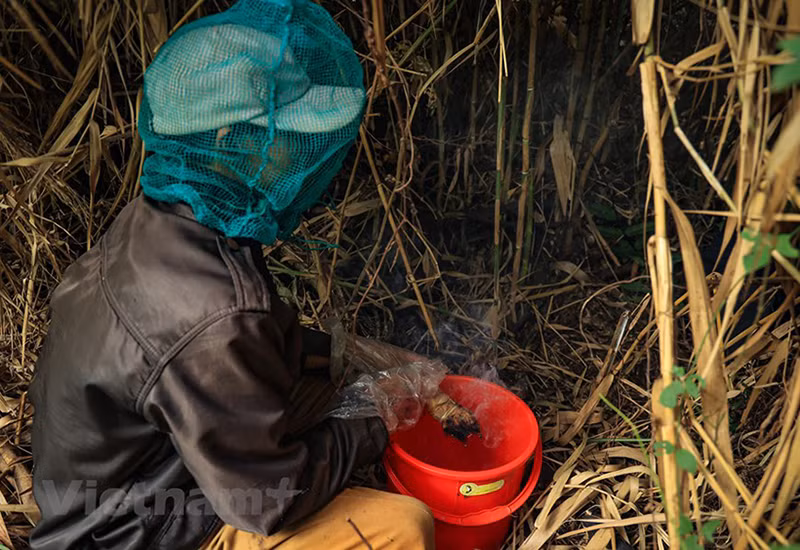 Перед тем, как отправиться на пасеку, пчеловод разжигает дымар, берет с собой острый нож, большое ведро и защитную сетку.