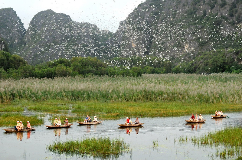 Заповедник водно-болотных угодий Ванлонг. Фото: ninhbinh.gov.vn