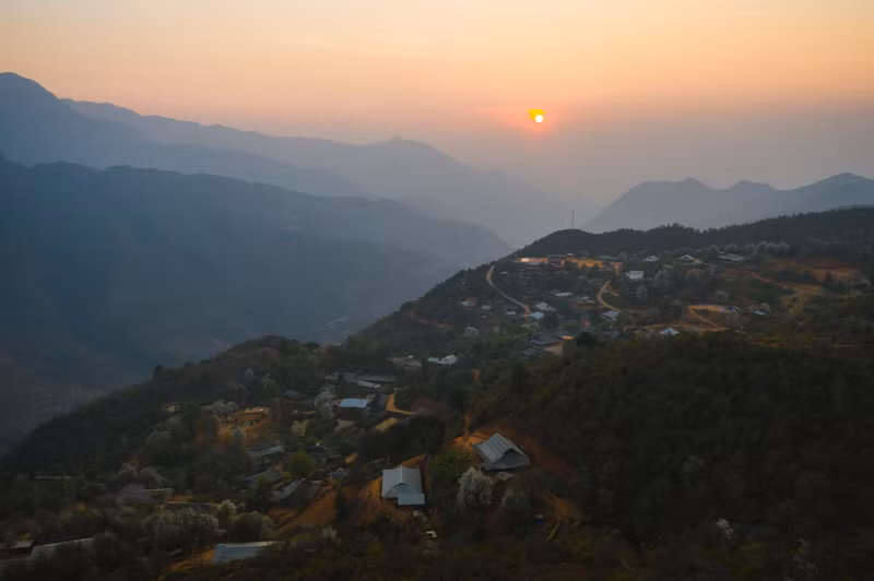 Посетители предпочитают любоваться цветами ранним утром или на закате.