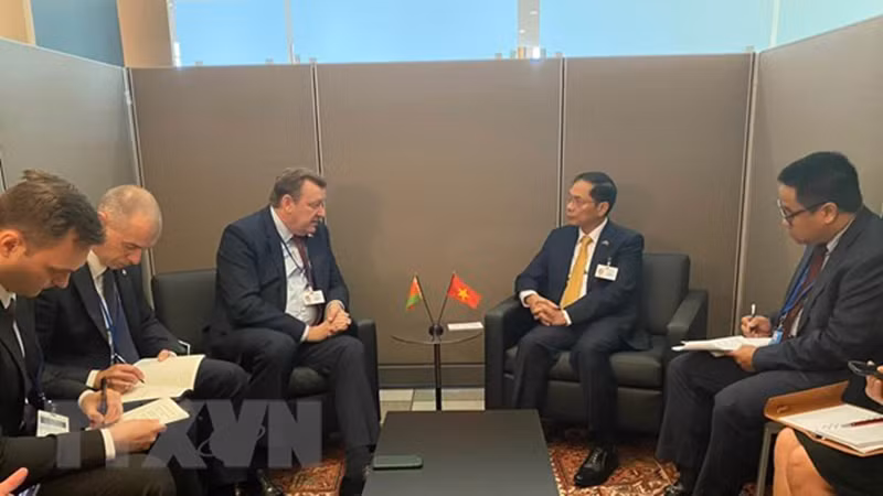 Министр Буй Тхань Шон на встрече с Министром иностранных дел Беларуси Сергеем Алейником. Фото: ВИА