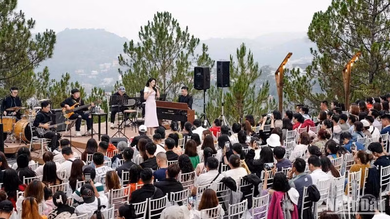 Один из музыкальных концертов в городе Далате.