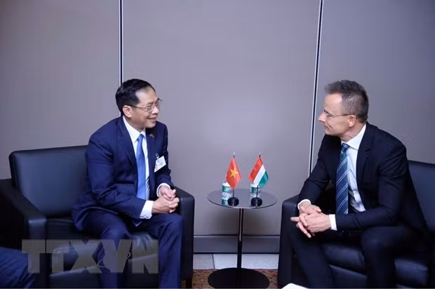 Министр Буй Тхань Шон и его венгерский коллега Петер Сийярто. Фото: ВИА