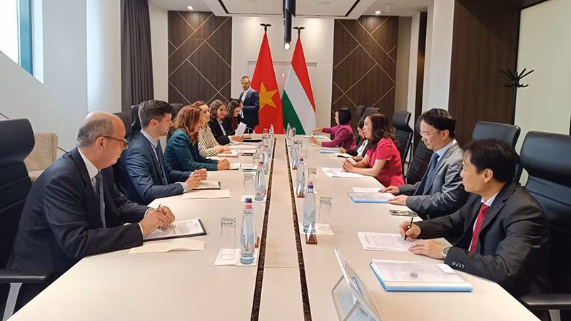 Общий вид вьетнамско-венгерских политических консультаций. Фото: МИД Вьетнама