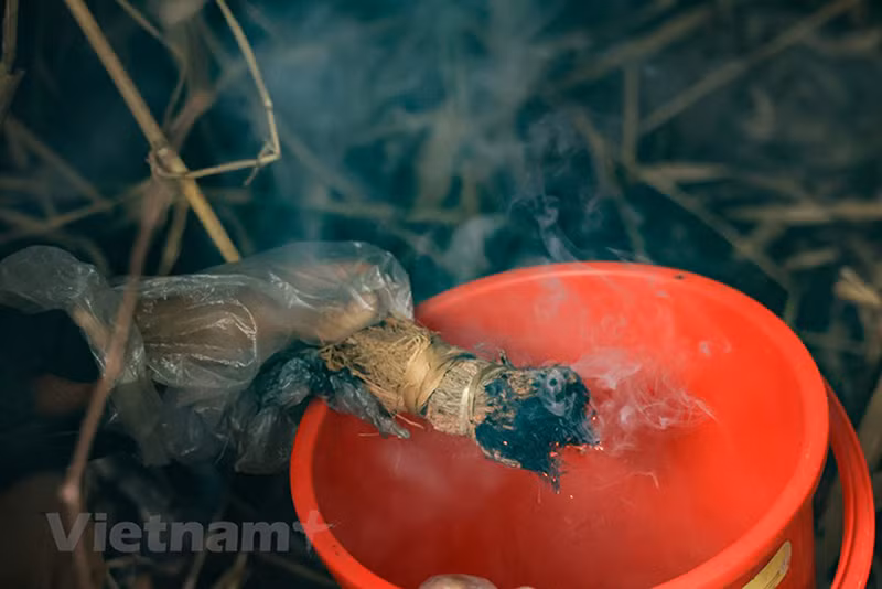Медоносные пчелы не переносят дым и вылетают из улья.